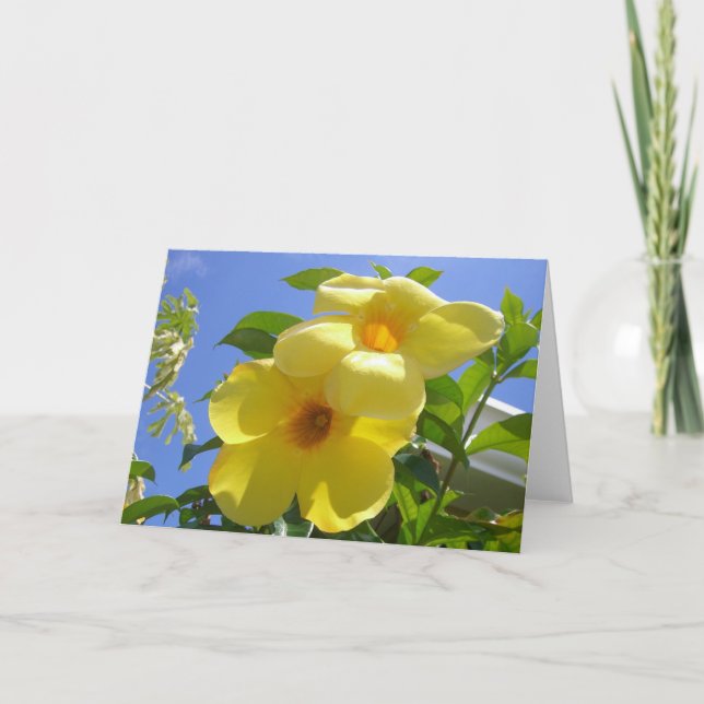 Golden Trumpet Flowers I Card (Front)