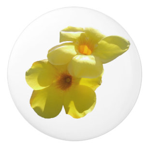 Golden Trumpet Flowers I Ceramic Knob