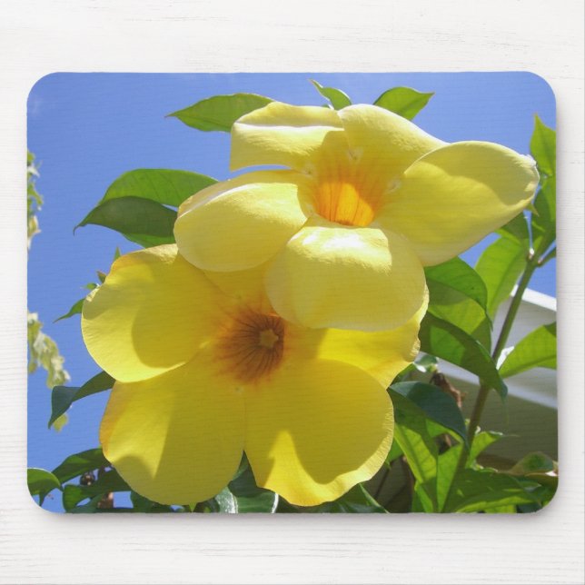Golden Trumpet Flowers I Mouse Pad (Front)