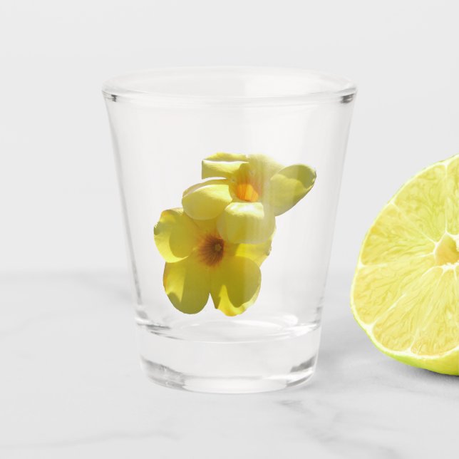 Golden Trumpet Flowers I Shot Glass (Front)