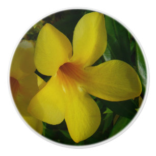Golden Trumpet Flowers II Tropical Ceramic Knob