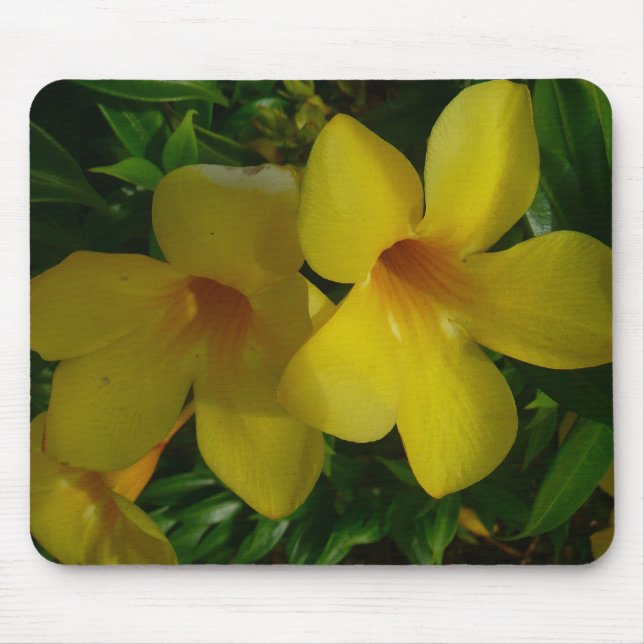 Golden Trumpet Flowers II Tropical Mouse Pad (Front)