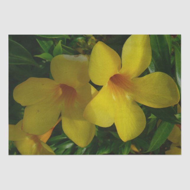 Golden Trumpet Flowers II Tropical Tissue Paper (Front)
