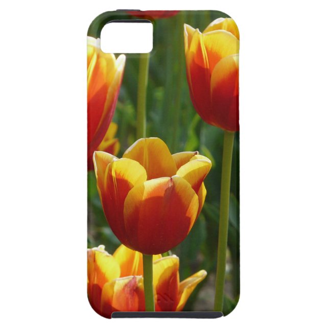 golden tulips Case-Mate iPhone case (Back)