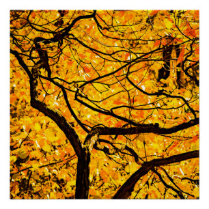 Golden Veins Of Autumn Poster