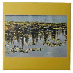 Golden Waters Ceramic Tile