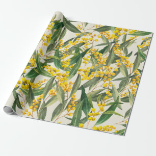 Golden Wattle (Acacia pycnantha) is Australia's na Wrapping Paper