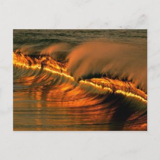 Golden Wave at Sunset, Mexico Postcard