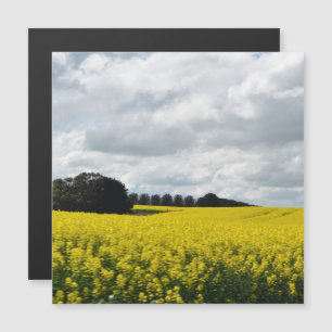 Golden Waves of Streatham Magnetic Card