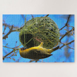Golden weaver bird, South Africa Jigsaw Puzzle
