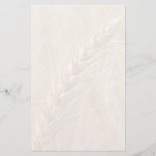 Golden Wheat Custom Stationery (Front)