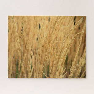 Golden Wheat Fields - 16x20 - 520 pcs. Jigsaw Puzzle