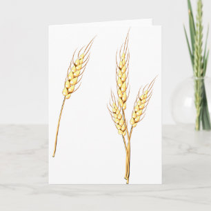 Golden Wheat Stalks Farm Harvest Grain Card
