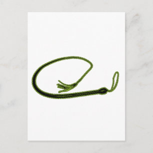 GOLDEN WHIP POSTCARD