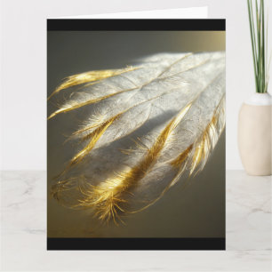 Golden white feathers  card
