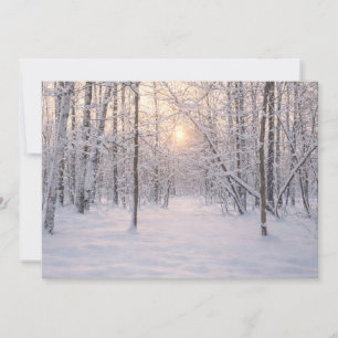 Golden_winter_light Invitation