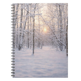 Golden_winter_light Notebook