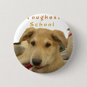Golden Wisdom: A Dog's-Eye View of Life's School 6 Cm Round Badge