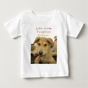 Golden Wisdom: A Dog's-Eye View of Life's School Baby T-Shirt