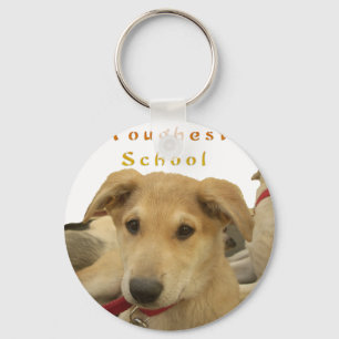 Golden Wisdom: A Dog's-Eye View of Life's School Key Ring
