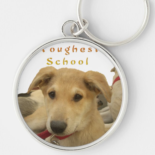 Golden Wisdom: A Dog's-Eye View of Life's School Key Ring (Front)