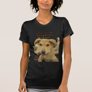 Golden Wisdom: A Dog's-Eye View of Life's School T-Shirt