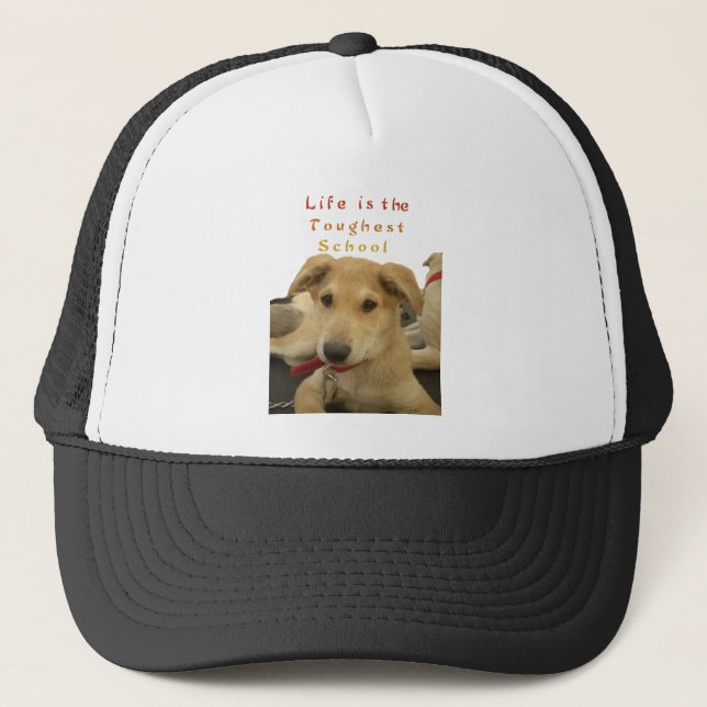 Golden Wisdom: A Dog's-Eye View of Life's School Trucker Hat (Front)