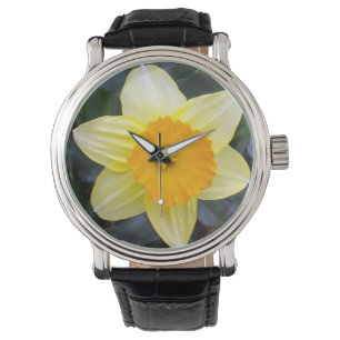 Golden Yellow Daffodil, Watch