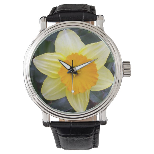 Golden Yellow Daffodil, Watch (Front)
