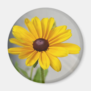 Golden Yellow Flower Magnet