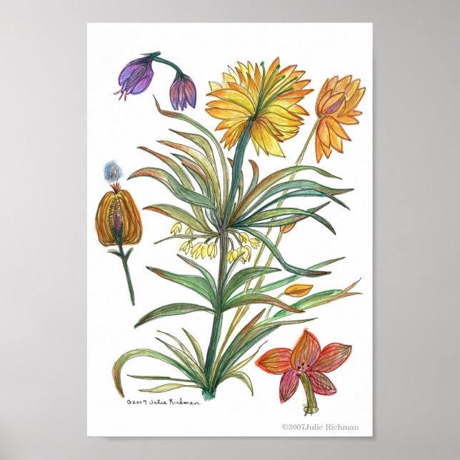 Golden Yellow Flowers 52 Poster-A Poster (Front)