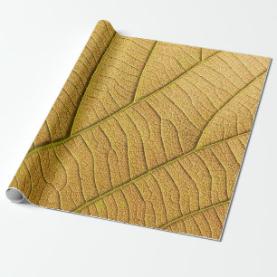 Golden yellow leaf pattern in the morning. wrapping paper