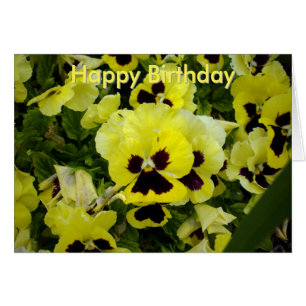 Golden Yellow Pansies On Bush, Birthday Card