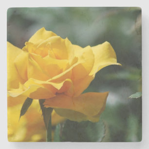 Golden Yellow Rose Bud Stone Coaster