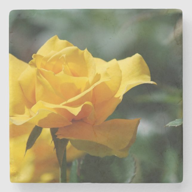 Golden Yellow Rose Bud Stone Coaster (Front)