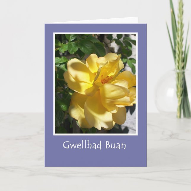 Golden Yellow Rose Get Well Card, Welsh Greeting Card (Front)