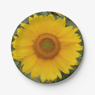 Golden Yellow Sunflower Paper Plates