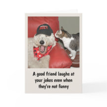 Goldendoodle and cat friendship card
