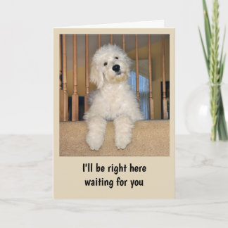 Goldendoodle any occasion card