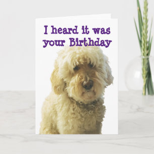 GoldenDoodle, Birthday Doodle Wishes Card