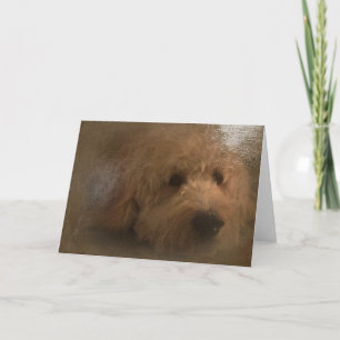Goldendoodle blank card