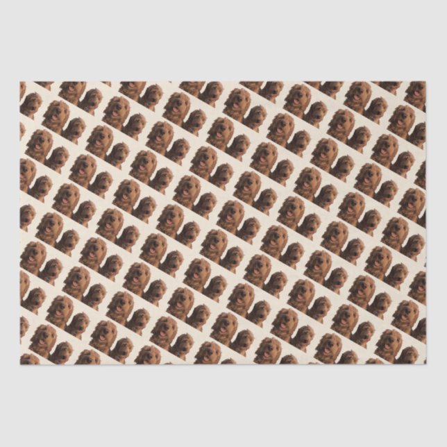 Goldendoodle Brothers Tissue Paper (Front)