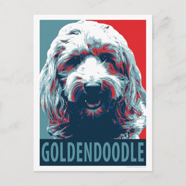 GOLDENDOODLE by Hope Dogs Postcard (Front)