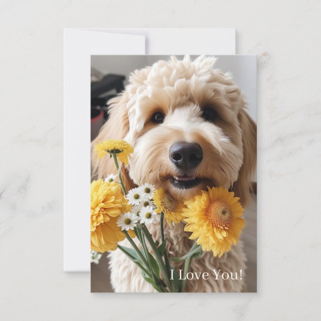 Goldendoodle Cards (Front)