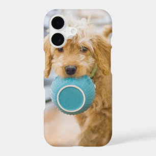 Goldendoodle Carrying Dinner Bowl