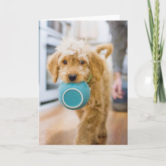 Goldendoodle Carrying Dinner Bowl Card (Front)
