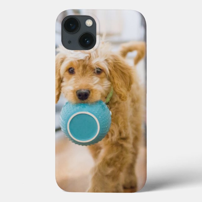 Goldendoodle Carrying Dinner Bowl Case-Mate iPhone Case (Back)