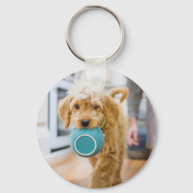 Goldendoodle Carrying Dinner Bowl Key Ring (Front)