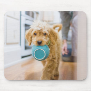 Goldendoodle Carrying Dinner Bowl Mouse Pad