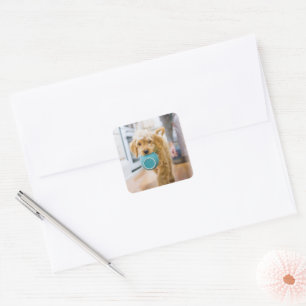 Goldendoodle Carrying Dinner Bowl Square Sticker